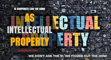 Corporate Law vs. Intellectual Property: Understanding Key Differences and Overlaps