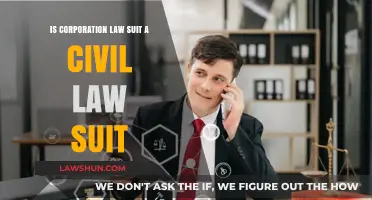 Is a Corporate Lawsuit Considered a Civil Lawsuit? Key Insights