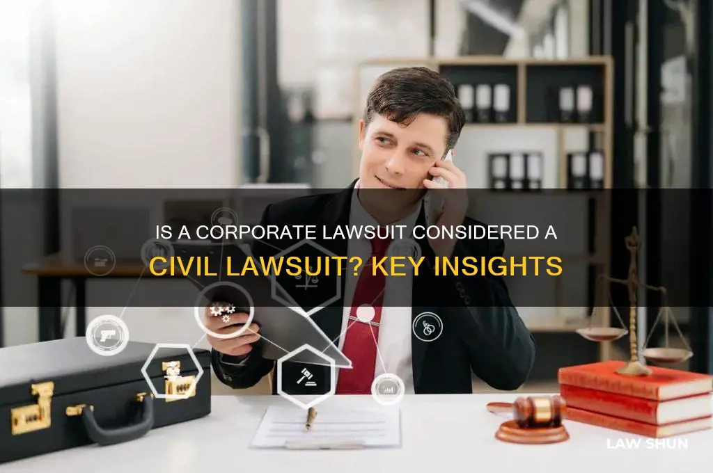 is corporation law suit a civil law suit
