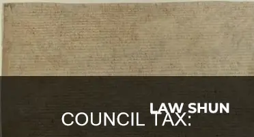 is council tax lawful