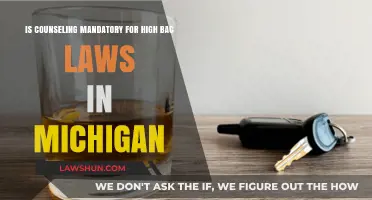 Is Counseling Required Under Michigan's High BAC DUI Laws?