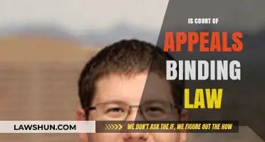 Is Court of Appeals Binding Law? Understanding Legal Precedent and Authority