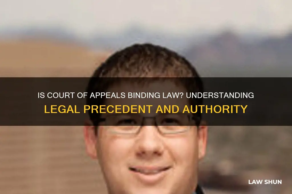 is court of appeals binding law