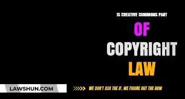 Creative Commons: Friend or Foe to Copyright Law?