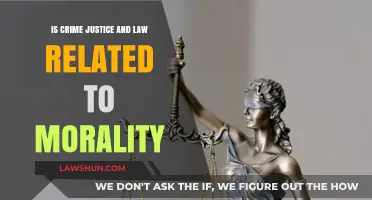 Crime, Justice, Law, and Morality: Exploring Their Complex Interconnections