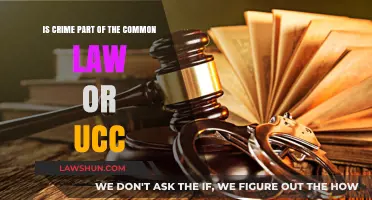 Common Law vs UCC: Crime's Place
