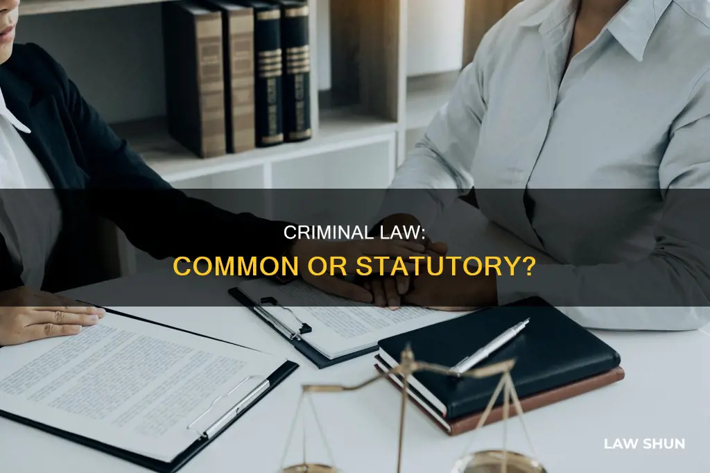 is criminal law common or statutory