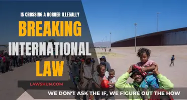 International Border Crossing: Law and Illegality