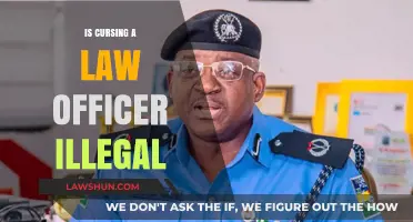 Is Cursing a Law Officer Illegal? Understanding Free Speech Limits