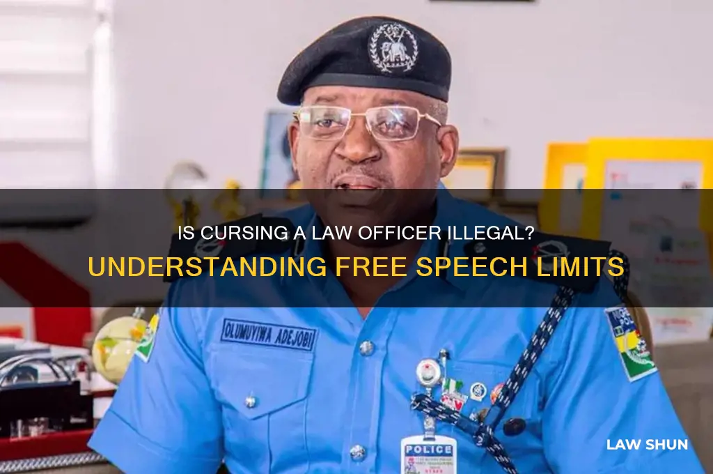 is cursing a law officer illegal