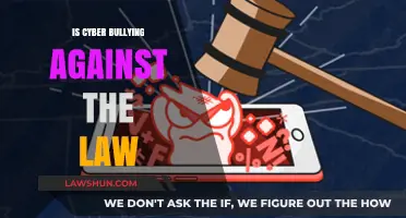 Understanding Cyberbullying: Legal Implications and Protections
