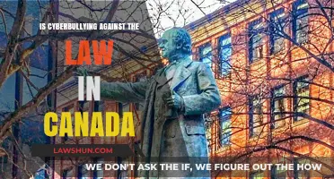 Cyberbullying in Canada: What's the Law?