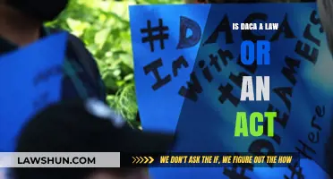 Understanding DACA: Is It a Law or Executive Act?