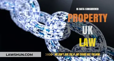 Data Property Rights: UK Law Explained