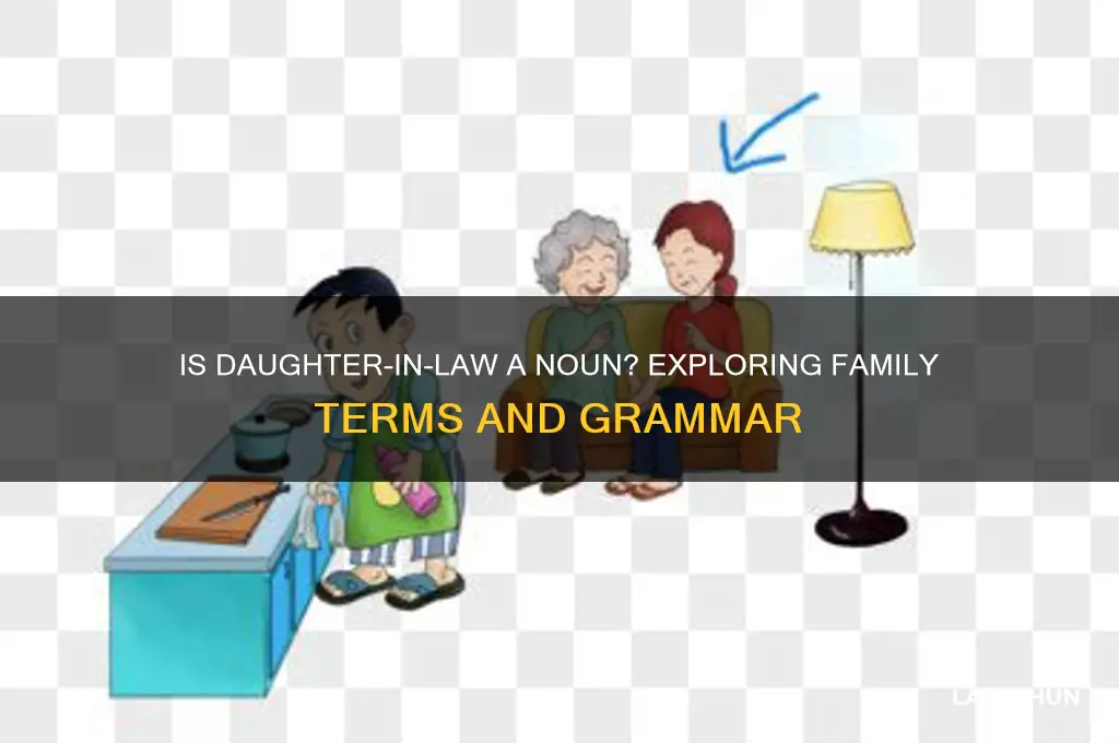 is daughter-in-law a noun