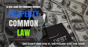 Debt Before Marriage: Separate or Shared?