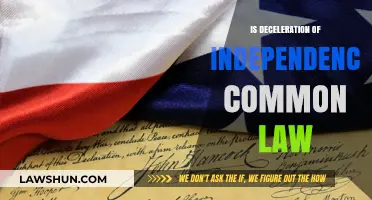 The Declaration's Common Law Influence
