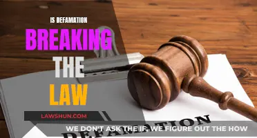 Defamation: Lawbreaking or Free Speech?