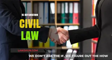 Understanding Defamation: Civil Law Implications and Legal Consequences Explained