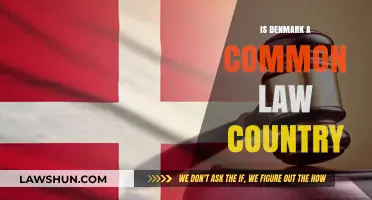 Denmark's Legal System: Common or Civil Law?