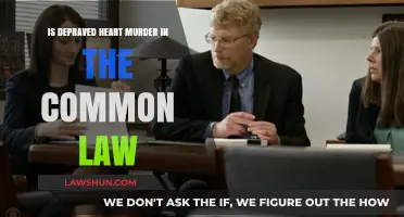 Depraved Heart Murder: Common Law's Complex Definition