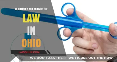 Is Anal Dildo Use Legal in Ohio? Exploring the Law