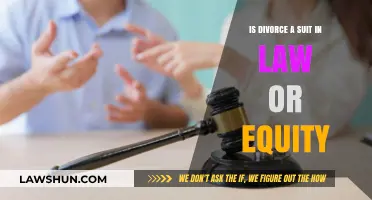 Divorce Proceedings: Legal Suit or Equity Matter Explained