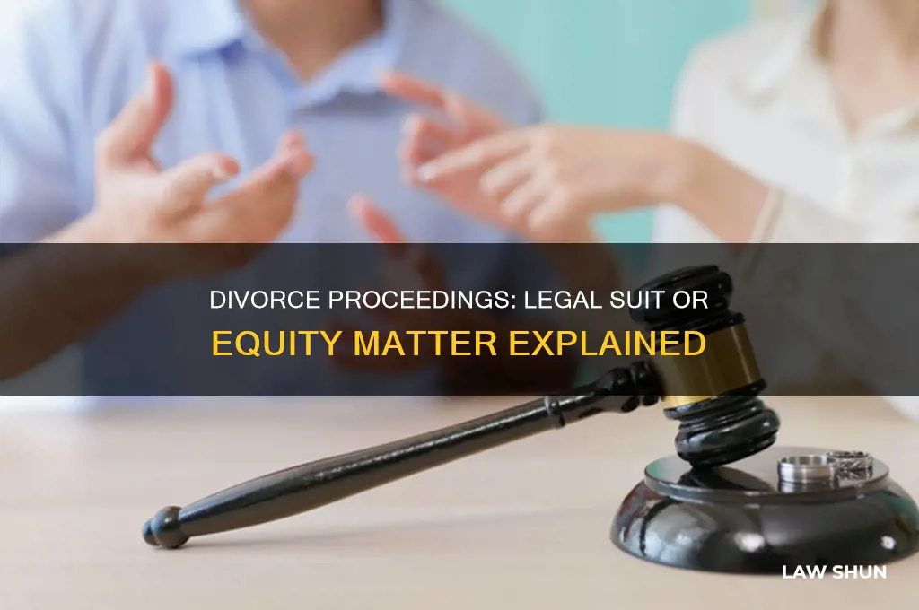 is divorce a suit in law or equity