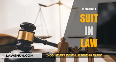 Is Divorce a Legal Suit? Understanding the Legal Framework
