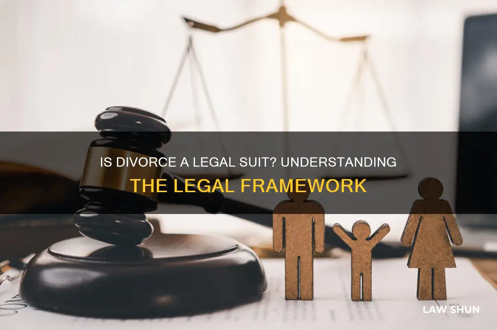 is divorce a suit in law