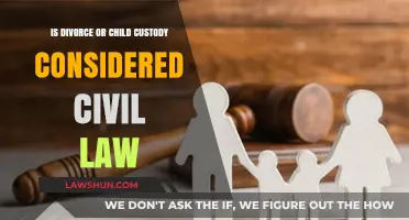 Divorce and Child Custody: Understanding Their Place in Civil Law