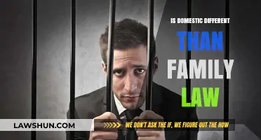 Domestic vs. Family Law: What's the Distinction?