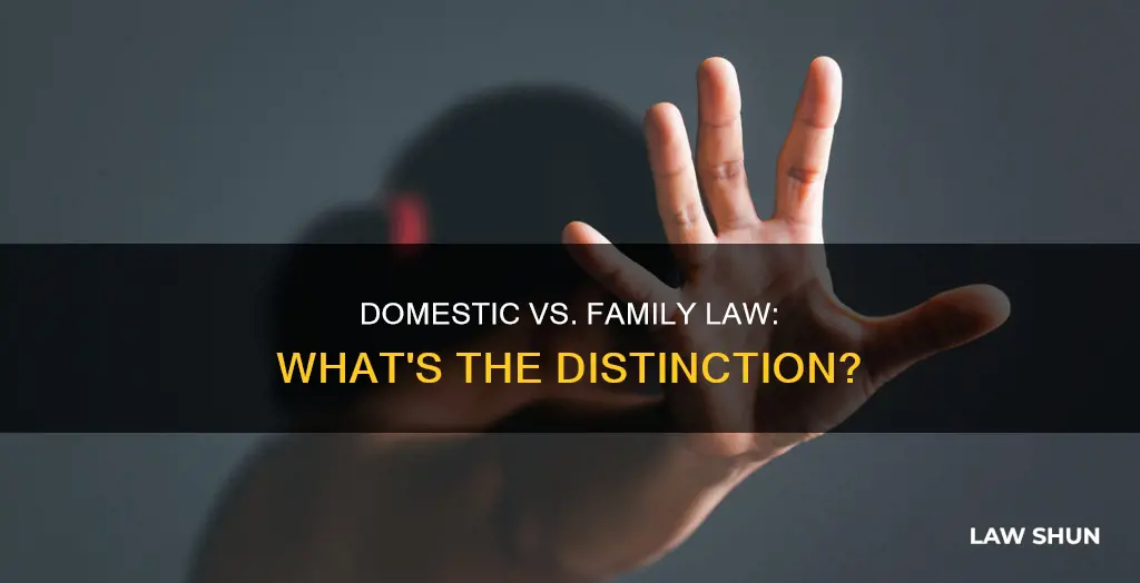 is domestic different than family law