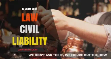 Understanding Dram Shop Law: Civil Liability for Alcohol-Related Incidents