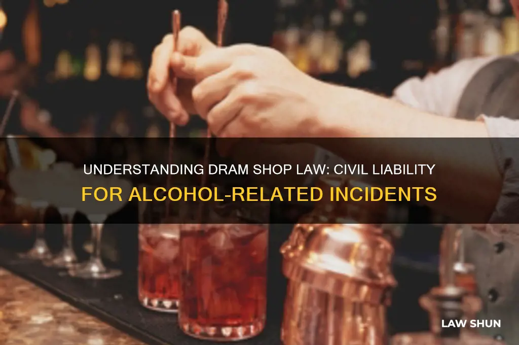 is dram shop law civil liability