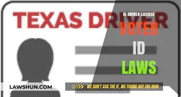 Are Driver's Licenses Valid Voter ID? Exploring the Legal Debate