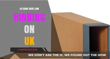 UK and ECHR Case Law: Bound Together?
