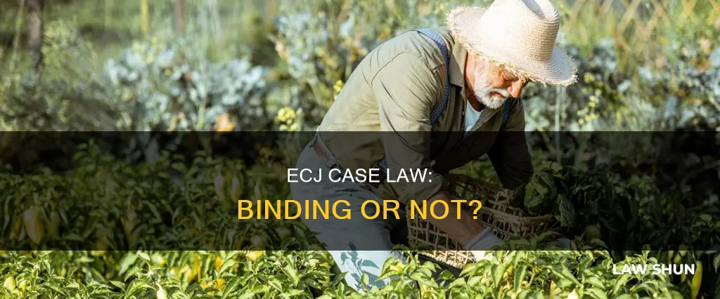is ecj case law binding