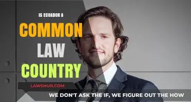 Ecuador's Legal System: Common or Civil Law?