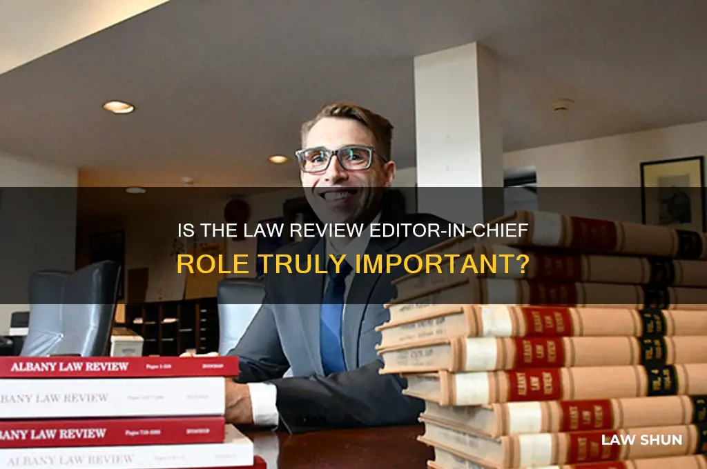 is editor in cheif of law review importnant