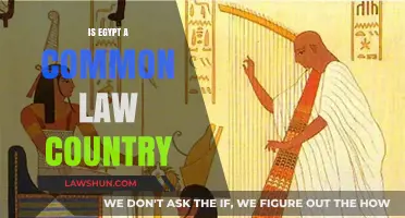 Egypt's Legal System: Common or Civil Law?