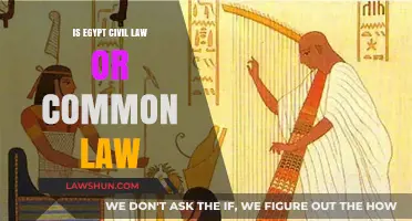 Civil or Common Law: What's Egypt's Legal System?