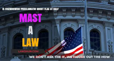 Is Eisenhower's Half-Mast Flag Proclamation Legally Binding?