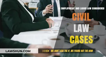 Employment Law: Civil or Not?
