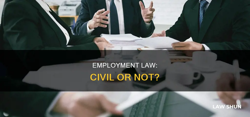 is employment and labor law considered civil law cases