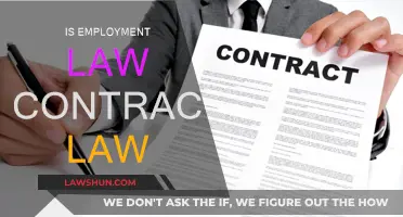 Employment Law: Contracts and Beyond