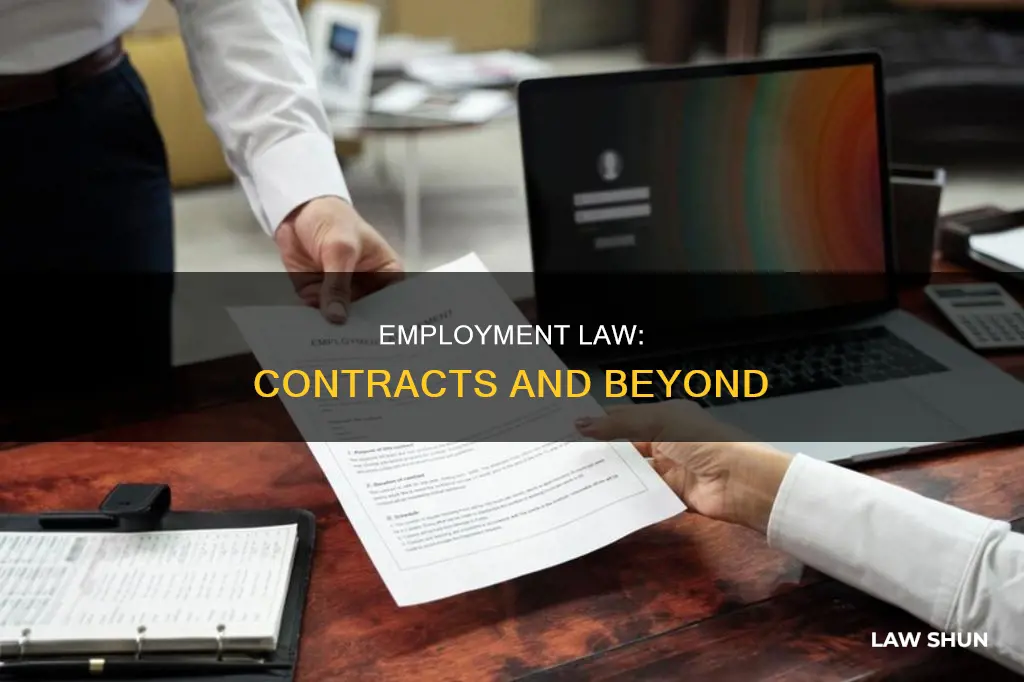is employment law contract law