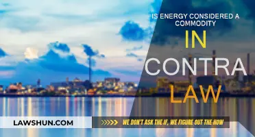 Energy Commodities: Contract Law Essentials