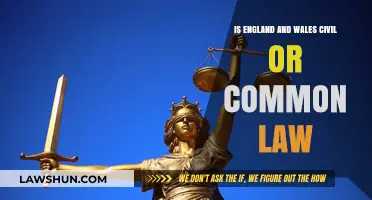 Civil or Common Law: England and Wales' Legal System