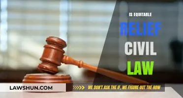 Equitable Relief in Civil Law: Understanding Its Role and Application